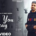 Are You Ok Lyrics - Harpinder Gill, Garry Sandhu