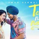 Tere Naal Naal Lyrics – Amar Sehmbi