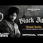 Black Jays Lyrics – Himmat Sandhu ft. Fateh Doe