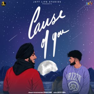 Cause Of You Lyrics – Zehr Vibe | Avvy Sra