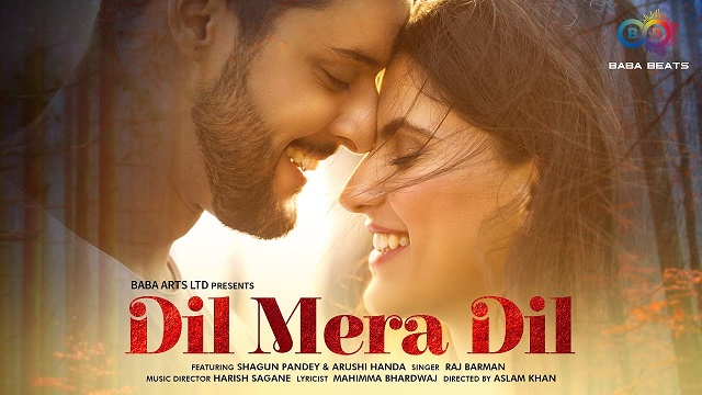 Dil Mera Dil Lyrics – Raj Barman