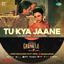 Tu Kya Jaane Lyrics – Yashika Sikka Chamkila